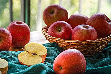 万代油管列表更新 《艾尔登法环》DLC宣传片或已上传